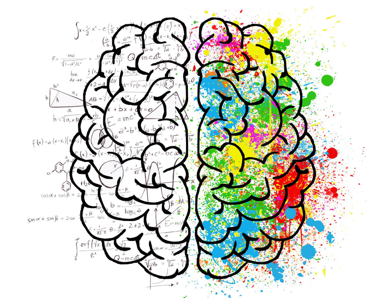 Kids Brain Growth